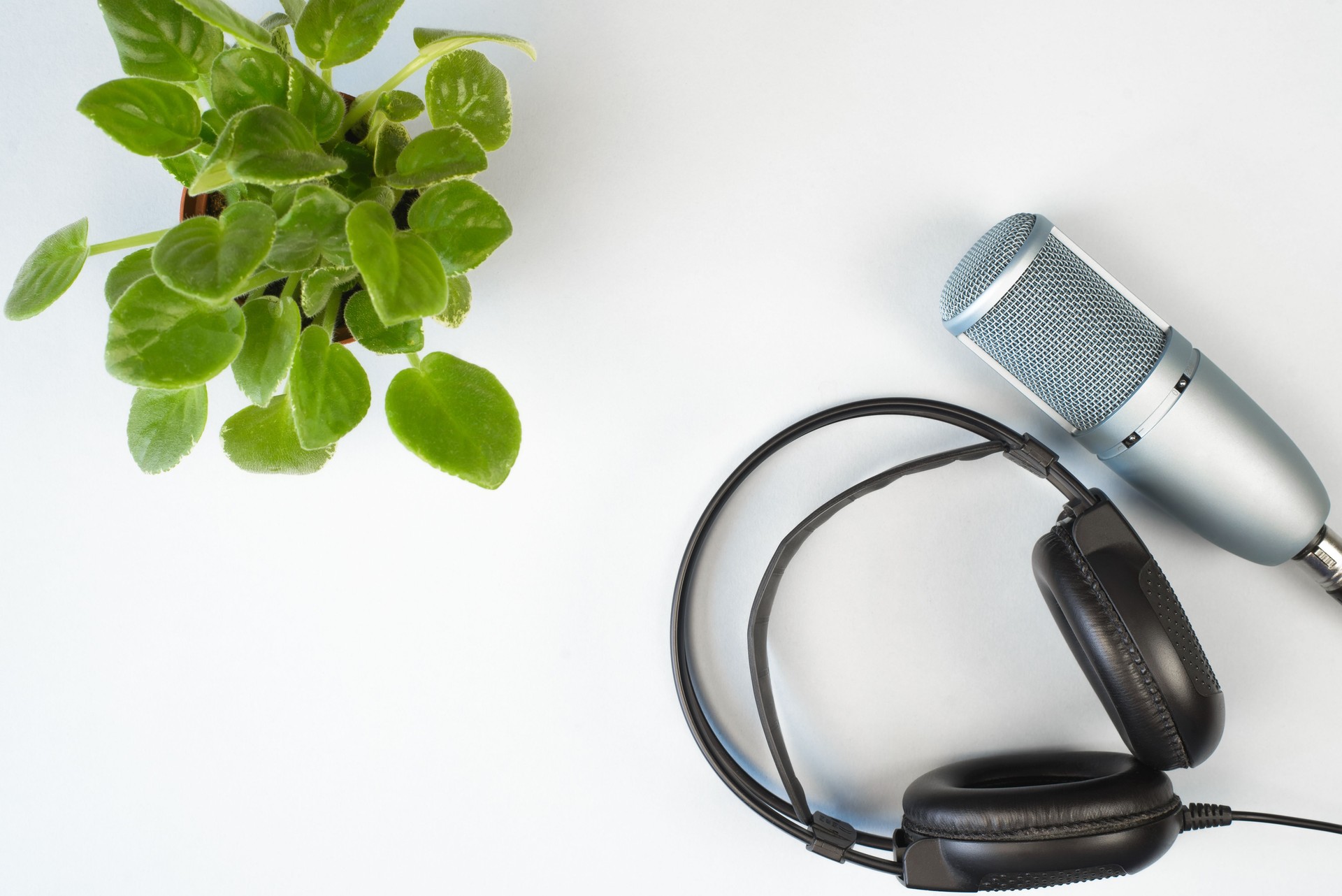 Studio microphone and black headphones on a light background indoors, flat lay. Professional equipment for sound recording. Concept podcast, internet audio broadcasting